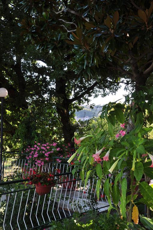 Hotel Firenze Chianciano Terme Zimmer foto